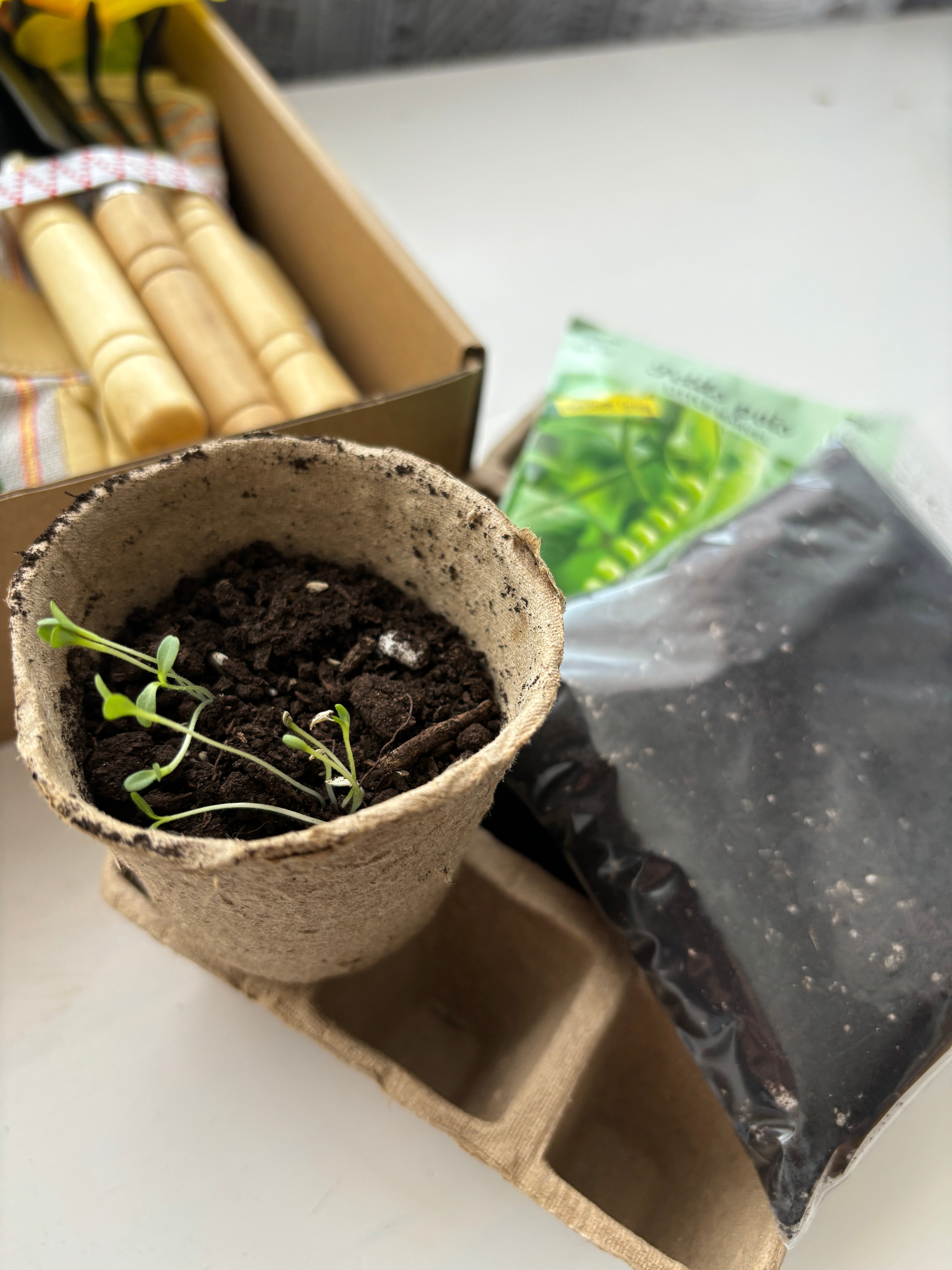 The Little Gardeners Box | Raising Young Readers